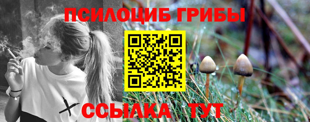 Галлюциногенные грибы Cubensis  Вход с VPN  Ирбит 